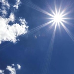 Meet your Posher, Gene