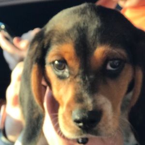 Meet your Posher, Cassidy