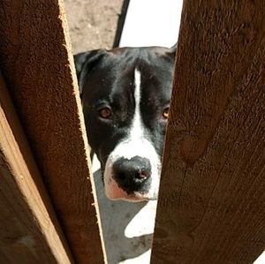 Meet your Posher, Mariah