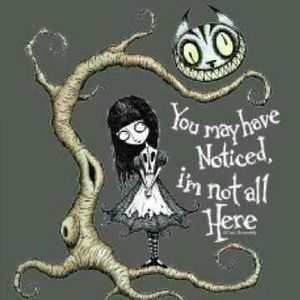 Meet your Posher, Missy