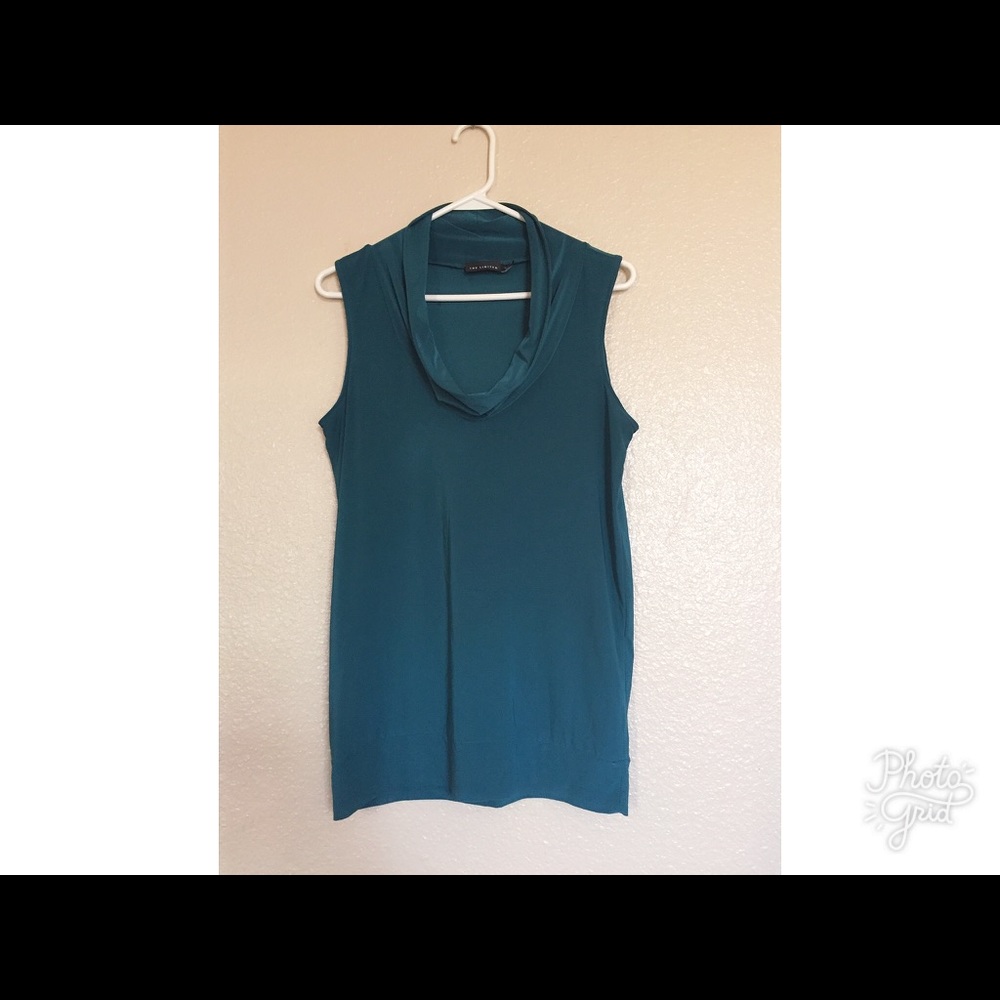 The Limited Tunic Top