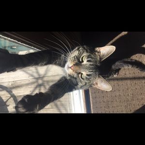 Meet your Posher, Grace