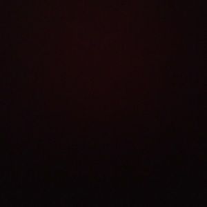 Meet your Posher, Daisy