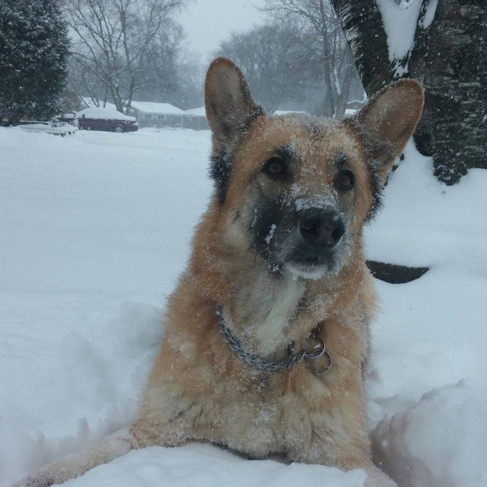 Meet your Posher, Annette