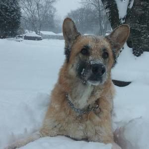 Meet your Posher, Annette