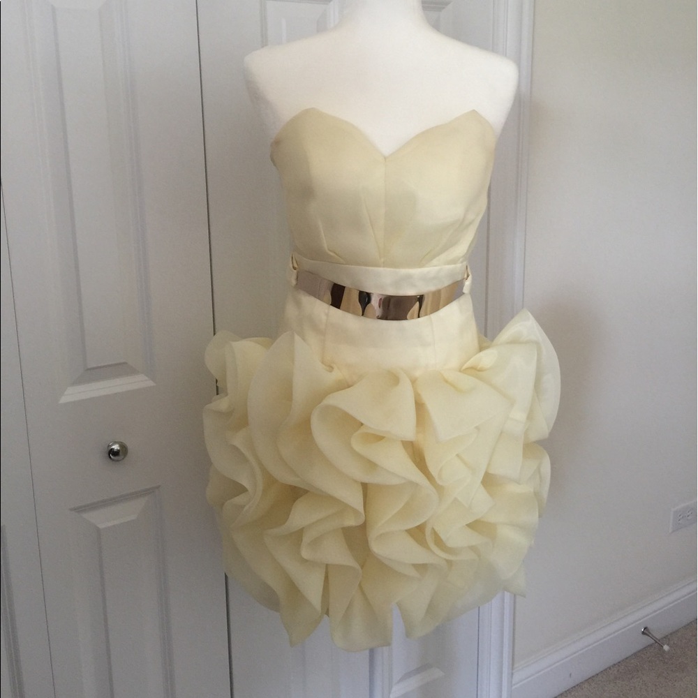 Opulence England Ruffle Dress with Metal Trim