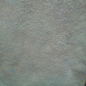 Meet your Posher, Tanislado