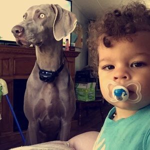 Meet your Posher, Kylee