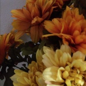 Meet your Posher, Jocelyn