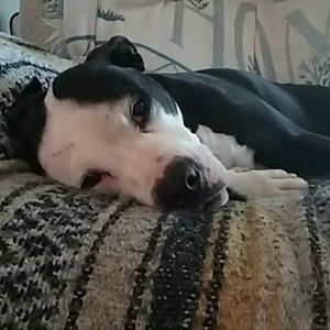 Meet your Posher, Dawna