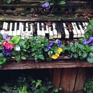 Meet your Posher, Rose