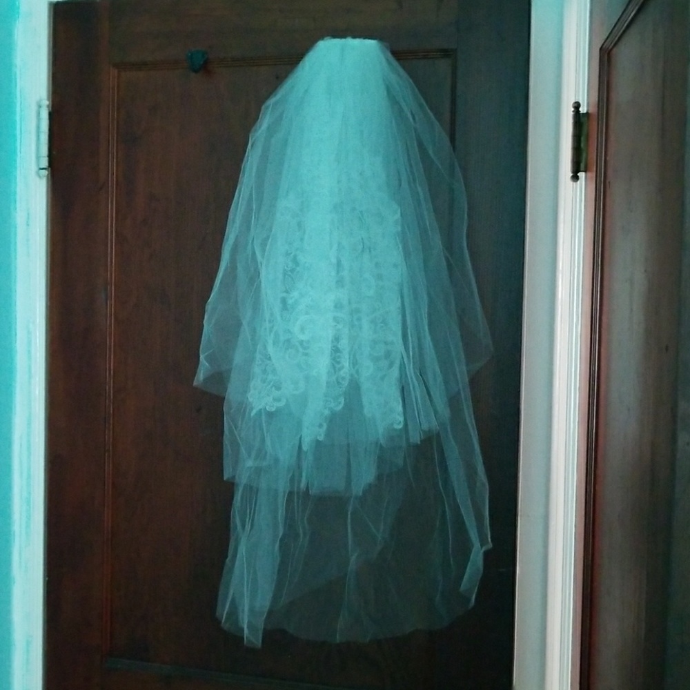 David's Bridal Veil