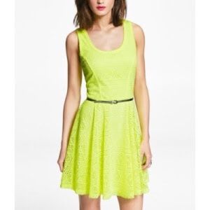 Express Green Skater Dress