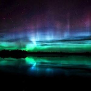 Meet your Posher, Tristan