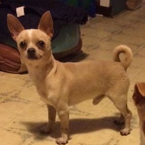 Meet your Posher, Cecilia