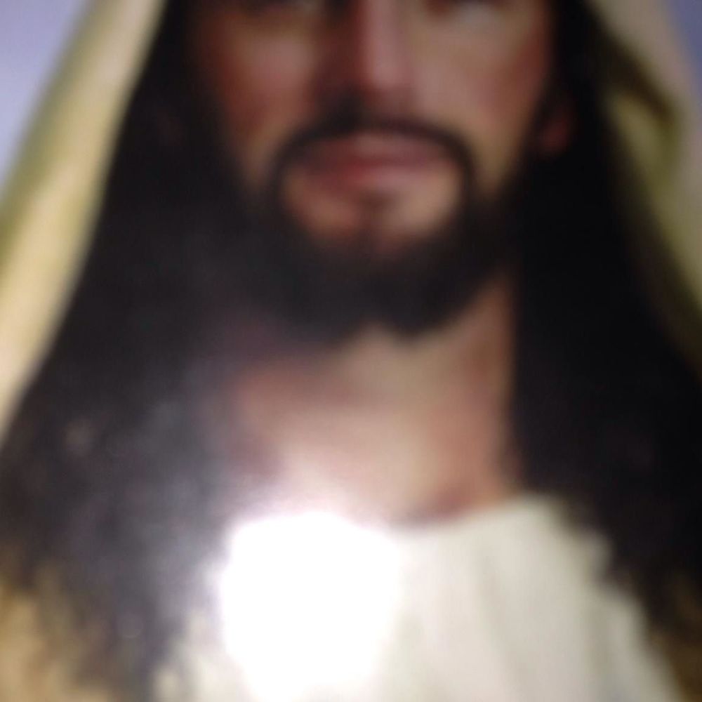 Meet your Posher, Rose