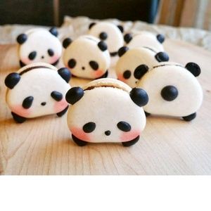 Meet your Posher, Pauline