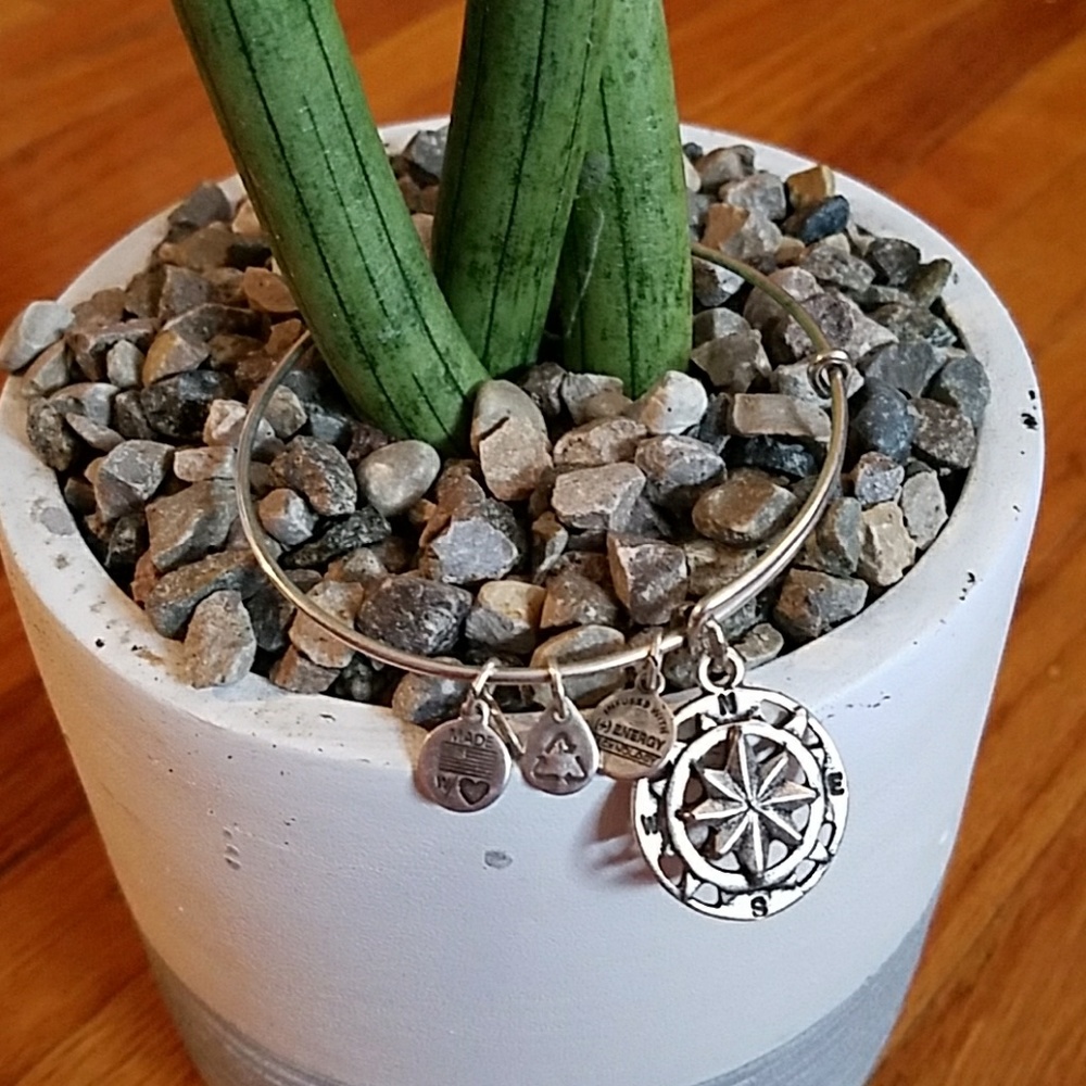 Compass bangle, Alex and Ani