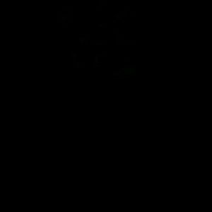 Meet your Posher, Leo