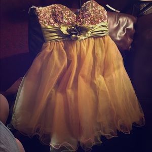 Gorgeous Tulle And Sequin Bodice Dress!