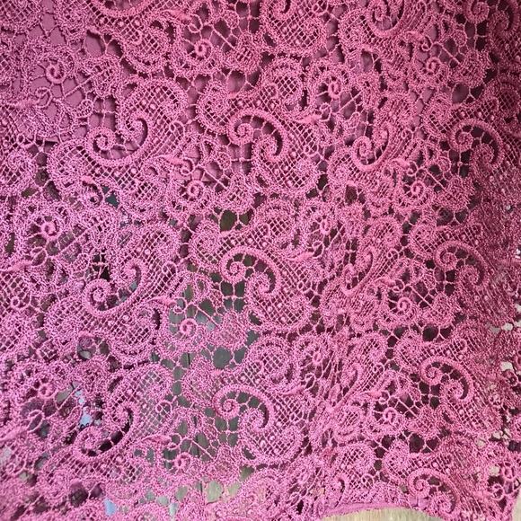 Zara Lace Detail Pencil Skirt Side Zipper - Picture 2 of 5