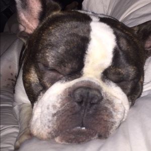 Meet your Posher, Kahley