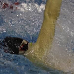 Meet your Posher, Noam