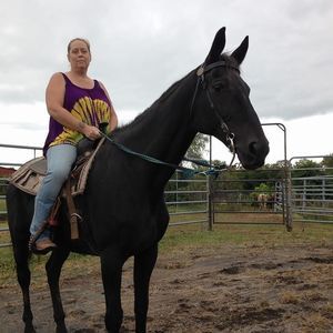 Meet your Posher, Shelley