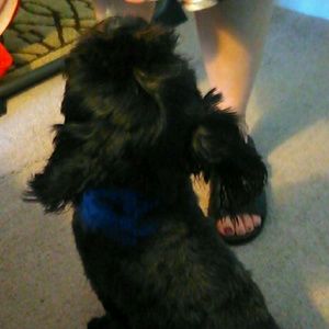 Meet your Posher, Brenda