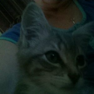 Meet your Posher, Linda