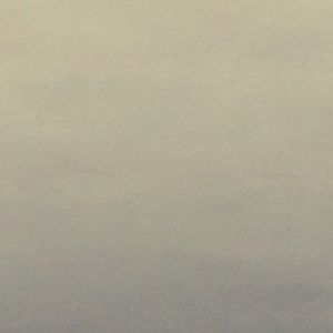 Meet your Posher, Colton