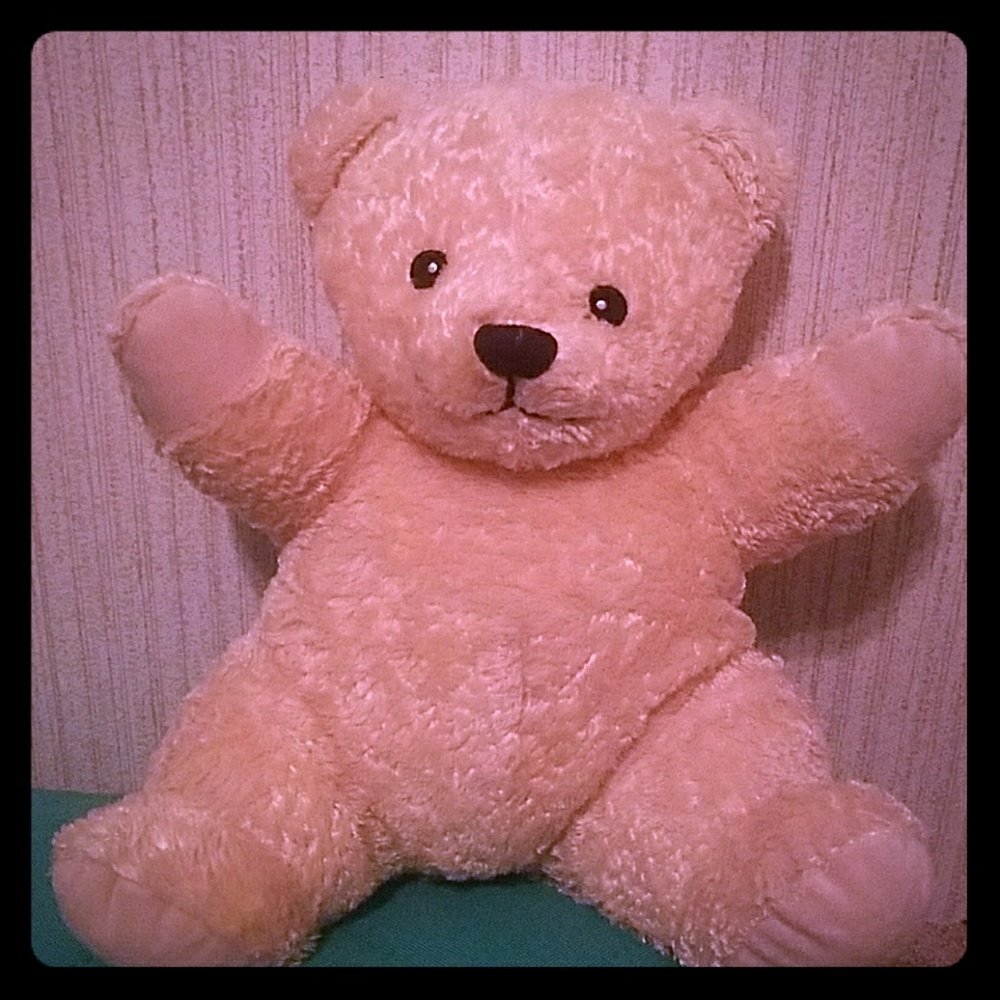 "Mommy's heartbeat" bear