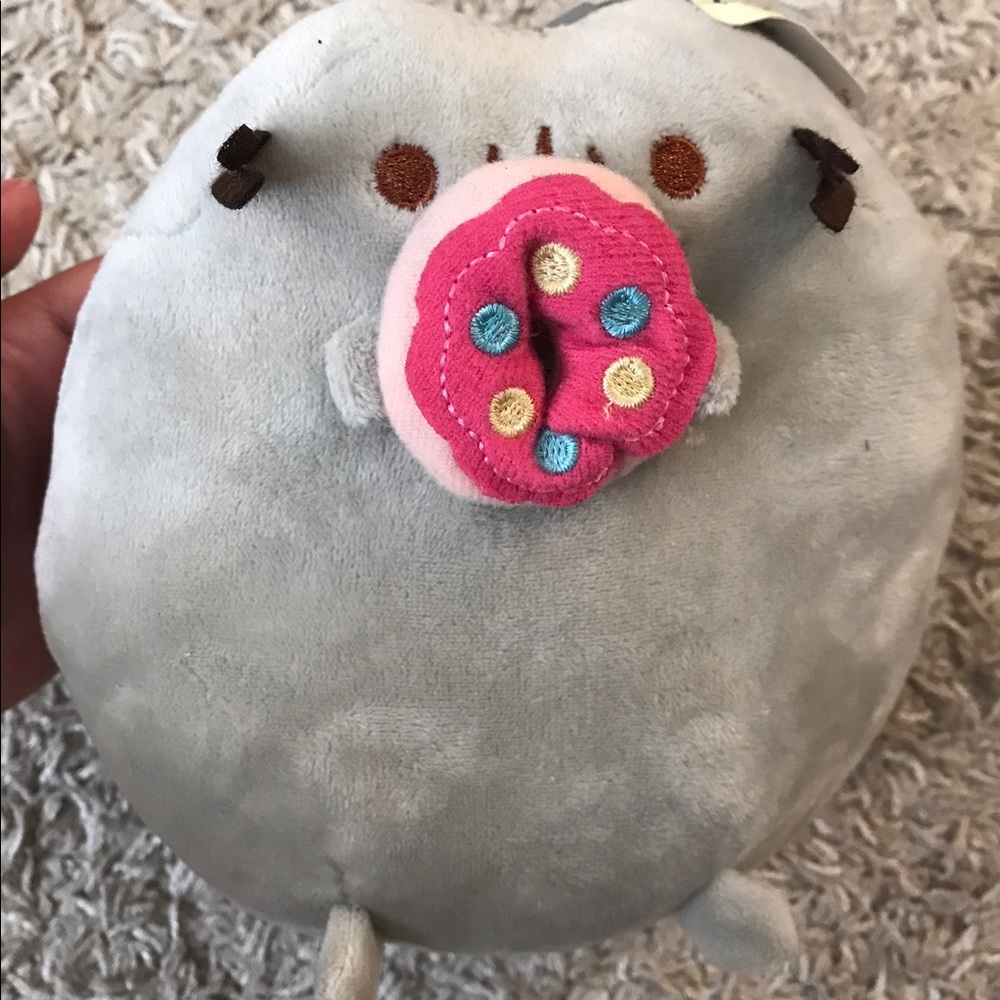 Pusheen with 🍩