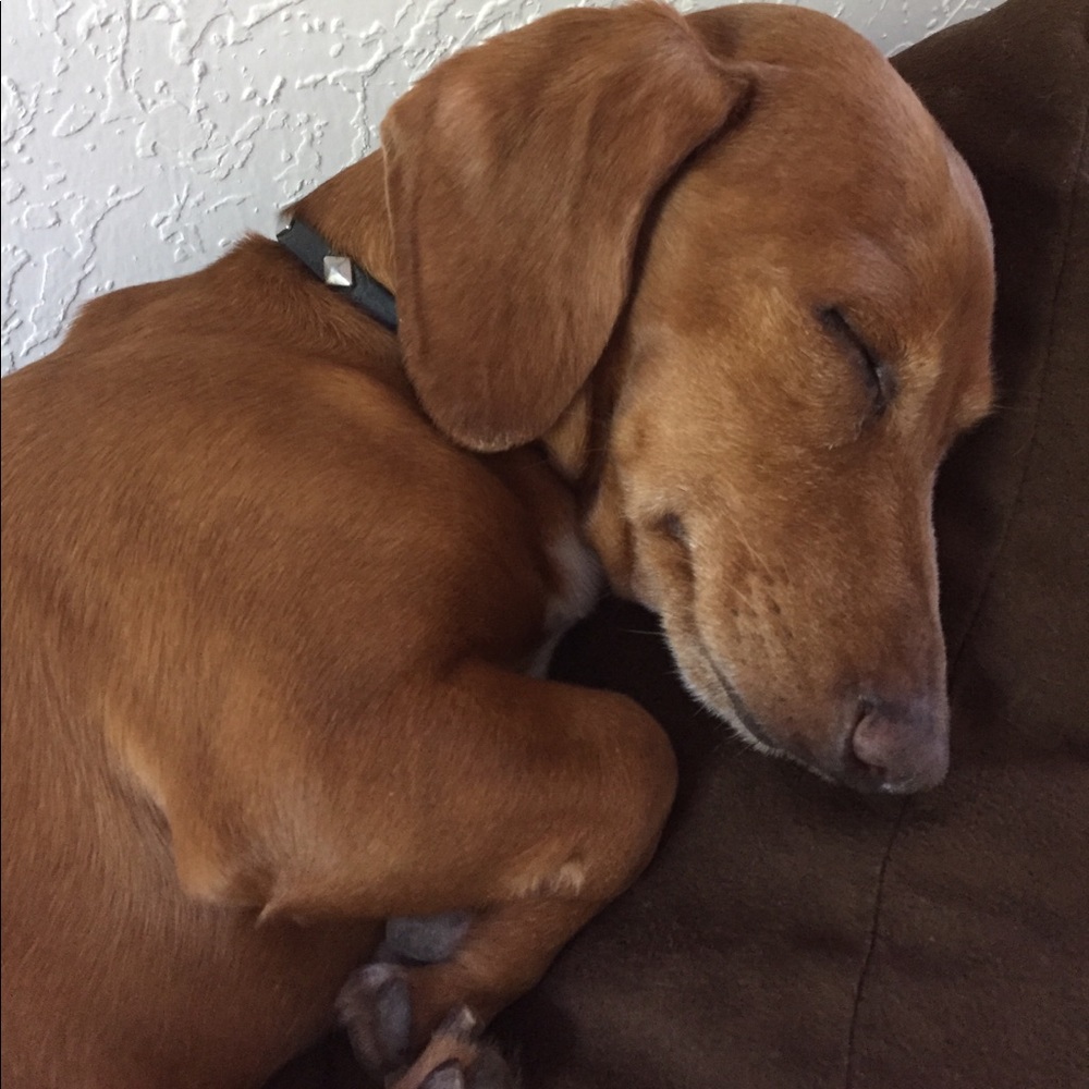 Meet your Posher, Monica