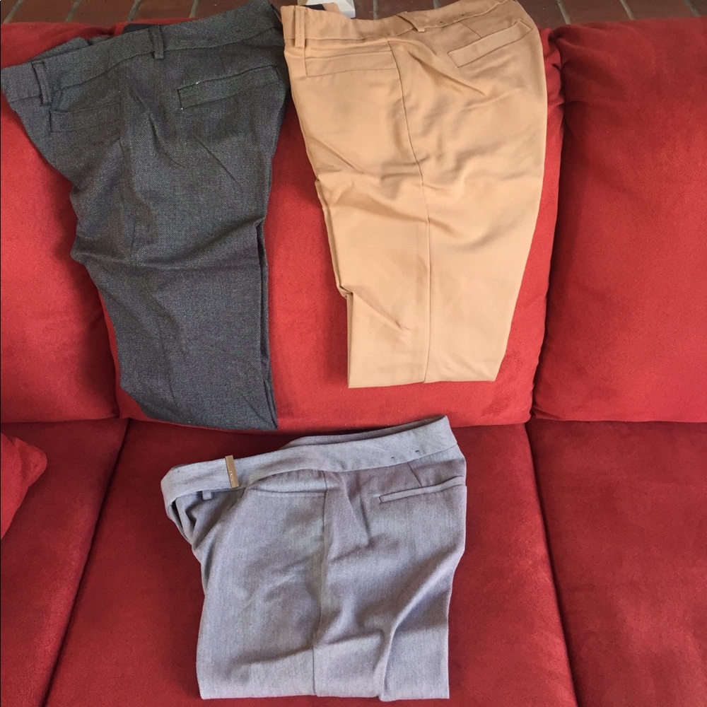 Express columnist dress pants