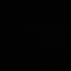 Meet your Posher, Erinn