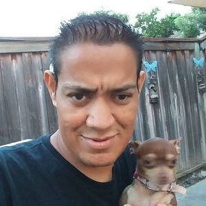 Meet your Posher, Oscar