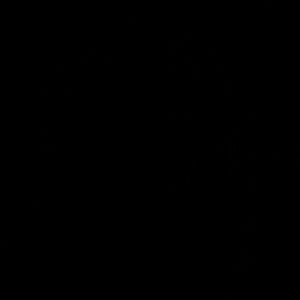 Meet your Posher, Janiya