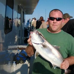 Meet your Posher, Danny