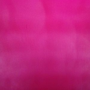 Meet your Posher, Lizzy