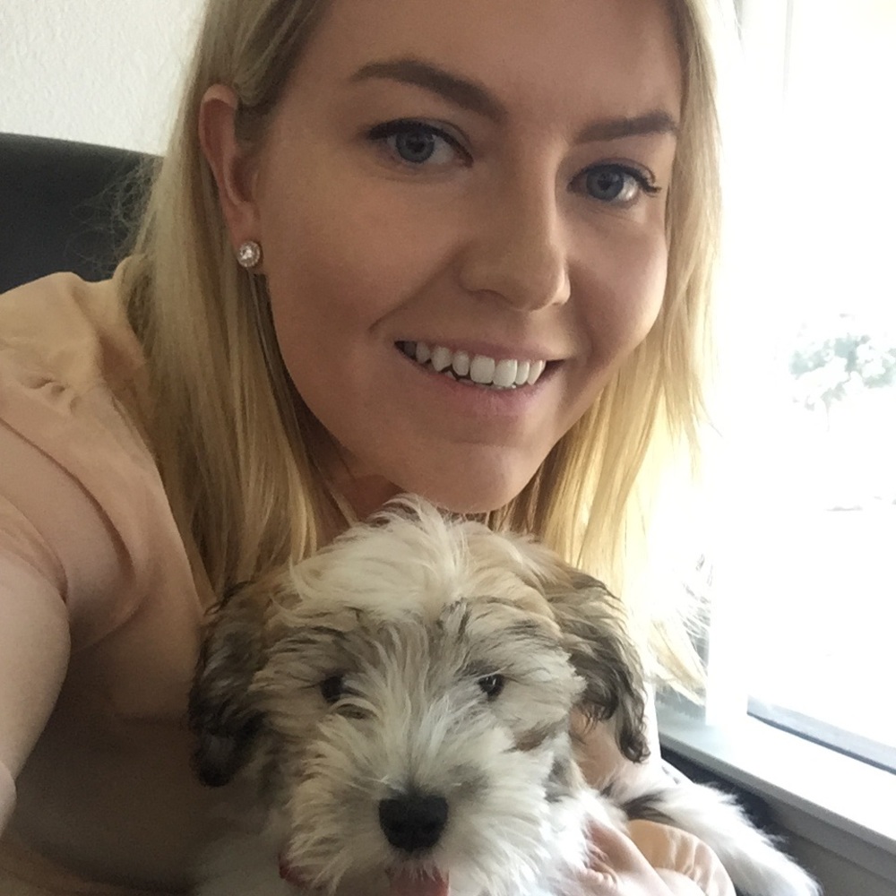 Meet your Posher, Dillon