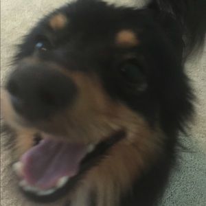 Meet your Posher, Gina