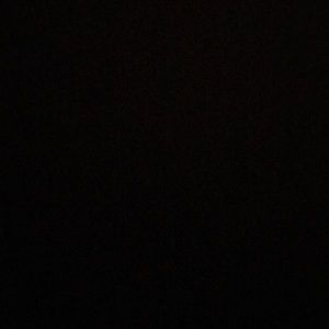 Meet your Posher, Riley