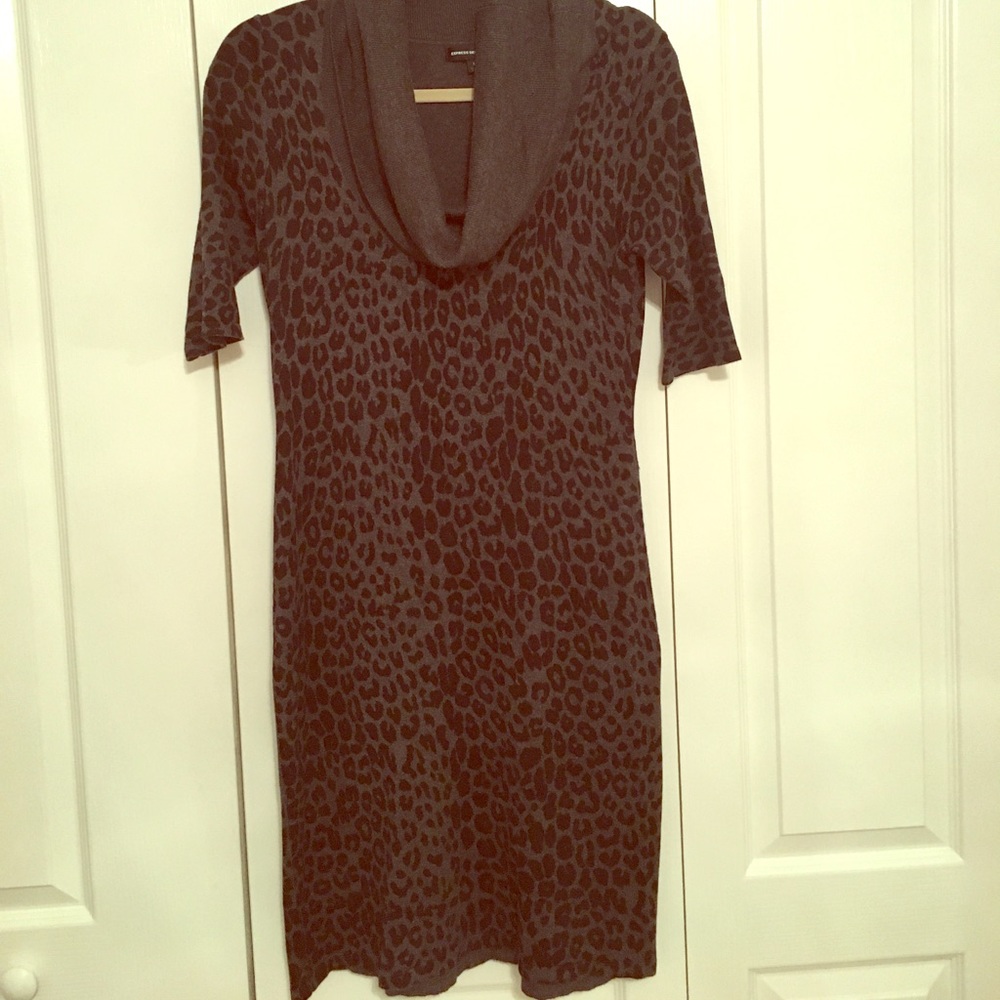 Express Cowl Neck Sweater Dress
