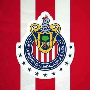 Meet your Posher, Joaquin