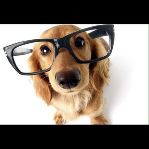 Meet your Posher, Carol