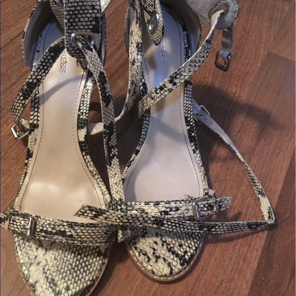 Express snake skin heels 2 in heels