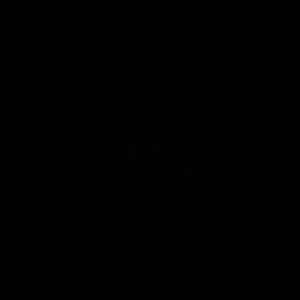 Meet your Posher, Roslyn