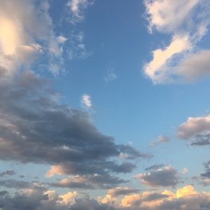 Meet your Posher, Jay