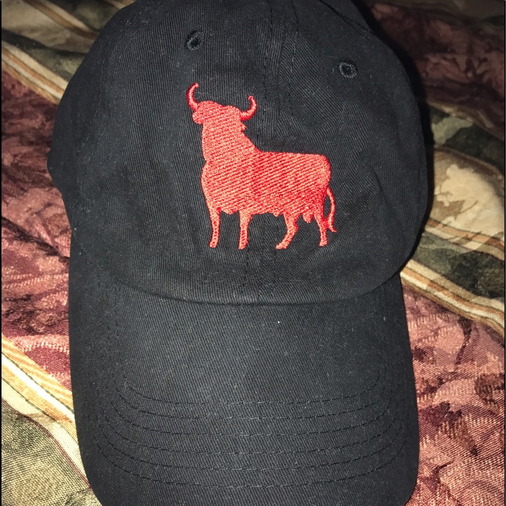 Toro dad hat